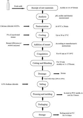 Technological potential of native lactic acid bacteria isolated from Swiss-type artisanal cheese (Ancash, Peru) for their application in food